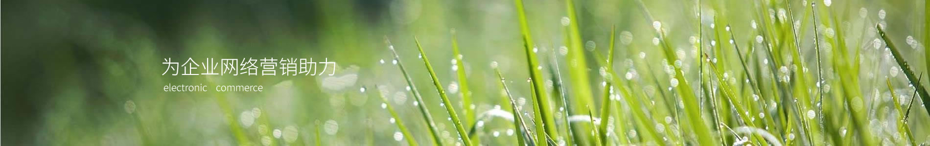 ŷİװ޹˾